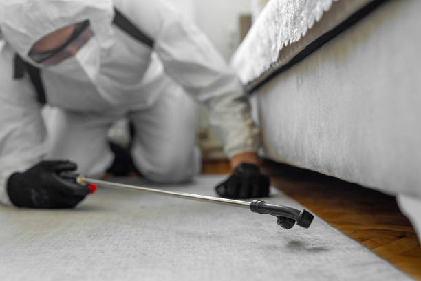 Professional Pest Control technician working in Rancho Santa Margarita, CA