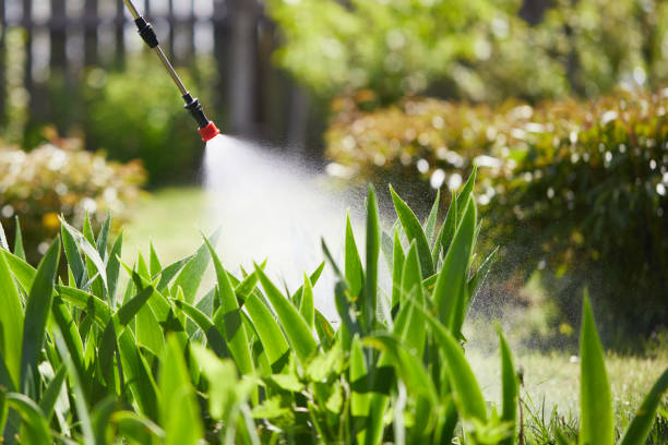 24/7 Emergency Rodent Control experts in Rancho Santa Margarita, CA