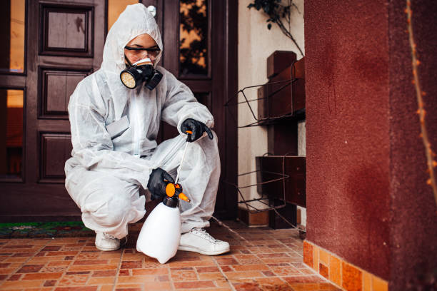 Reliable Rodent Control contractor in Rancho Santa Margarita, CA by Nex Pest Control